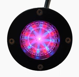 LED U-Licht