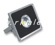 LED-Flutlicht _RY-TG-027