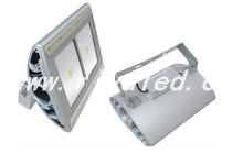 LED Floodlight _RY-TG-030