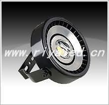 LED Floodlight _RY-TG-098