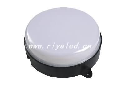 LED light source _RY-DG-003