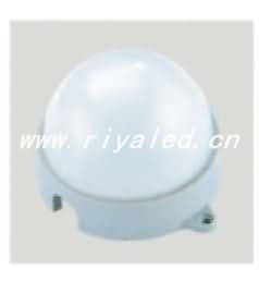 LED light source _RY-DG-010