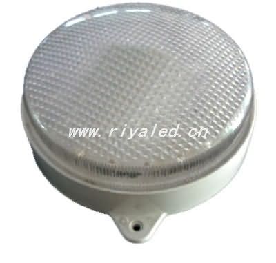 LED light source _RY-DG-058