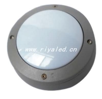 LED light source _RY-DG-059