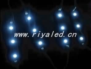 LED-Modul _RY-MZ-021