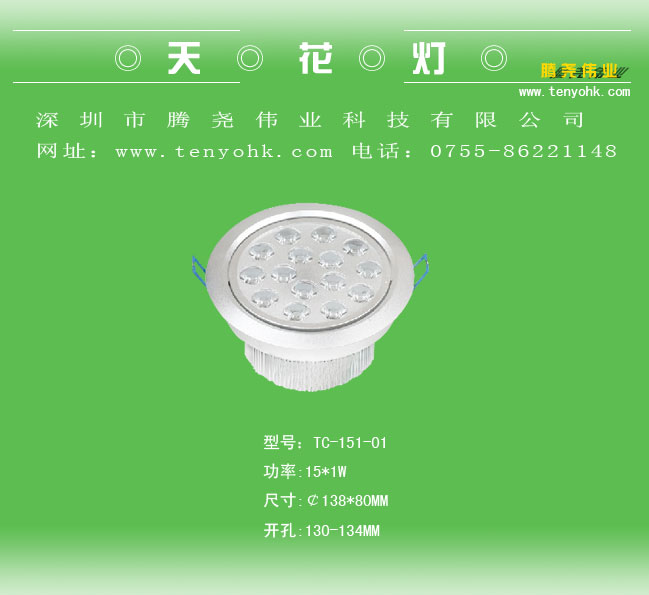 Tang Yao-Decke / Downlight (15 * 1W)