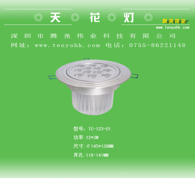 Tang Yao-Decke / Downlight (12 * 3W)