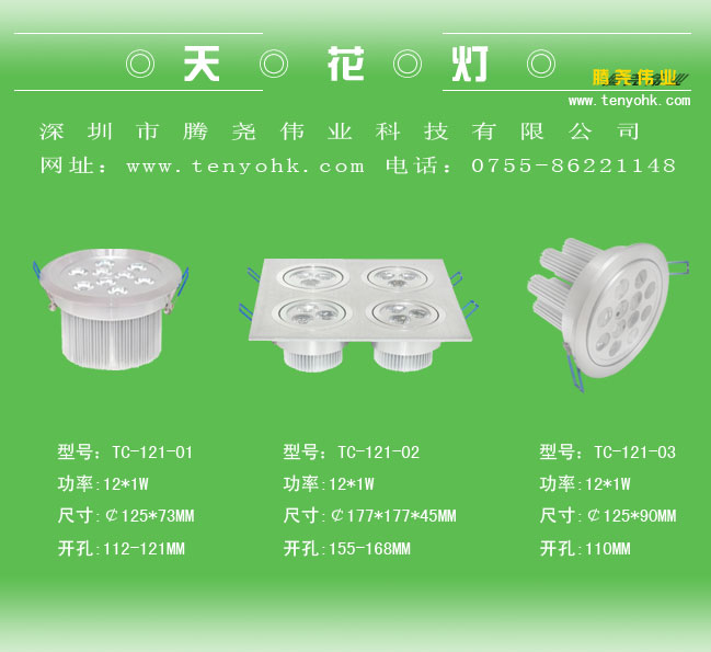 Decken-/ Downlight (12 * 1W)