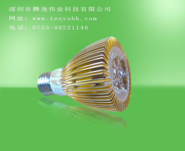 Tang Yao-12 * 1W Spotlight