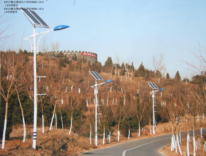 TYNLD-004 Solarstraßenlaterne