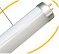 T8 LED-Lampe MSD