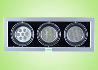 LED Downlights 21W1