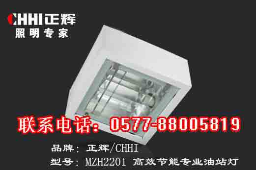 Energieeffiziente Licht MZH2201 professionelle Tankstellen