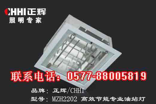 Energieeffiziente Licht MZH2202 professionelle Tankstellen